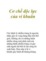 Cơ chế độc lực của vi khuẩn pot