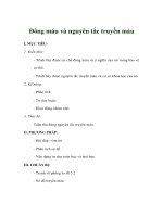 Giáo án sinh học 8 - Đông máu và nguyên tắc truyền máu ppsx