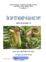 ON THI 12 TỰ LUÂN VÀ TRẮC NGHIỆN