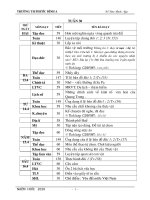 giao an T30 CKTKN- BVMT lop 4