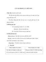 Giáo án Sinh học 6 - CẤU TẠO TRONG CỦA THÂN NON pdf