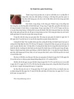 Kỹ thuật bảo quản thanh long pptx