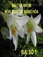 Bài tập nhóm môn xuất xứ hàng hóa - bài số 5 docx