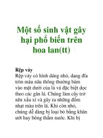 Một số sinh vật gây hại phổ biến trên hoa lan(tt) docx