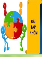 Bài tập nhóm môn xuất xứ hàng hóa - bài số 1 ppt