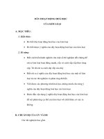 Giáo án Hoá 9 - DÃY HOẠT ĐỘNG HOÁ HỌC CỦA KIM LOẠI potx