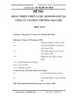 Hoàn thiện chiến lược kinh doanh tại công ty cổ phần thương mại