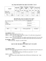 Đề thi Học kỳ II - Môn Ngữ Văn 9 _ Đề lẻ 1