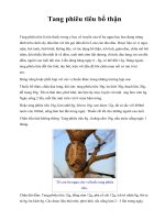 Tang phiêu tiêu bổ thận pps