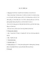 Tài liệu Sinh học 9 - ƯU THẾ LAI pot