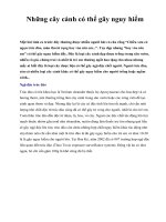 Những cây cảnh có thể gây nguy hiểm doc