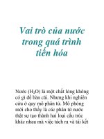 Vai trò của nước trong quá trình tiến hóa docx