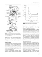 Critical Care Obstetrics part 13 pdf
