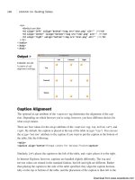 Tự học HTML và CSS trong 1 giờ - part 32 pps