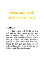 Phản ứng chuỗi polymerase (pcr) pptx