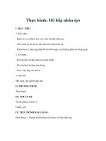 Giáo án sinh học 8 - Thực hành: Hô hấp nhân tạo ppsx