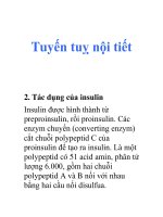Tuyến tuỵ nội tiết pps