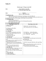 T31 L5 chi in Giang Muong khoa