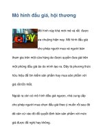 Mô hình đấu giá, hội thương pps