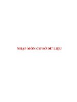 nhập môn cơ sở dữ liệu