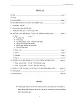 Các chất điện giải pps