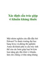 Xác định cấu trúc giúp vi khuẩn kháng thuốc potx