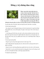 Đông y trị chứng đau răng pps