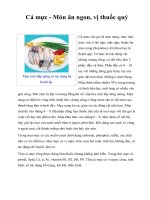 Cá mực - Món ăn ngon, vị thuốc quý pptx