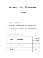 BỆNH HỌC THẬN - BÀNG QUANG (Kỳ 13) doc