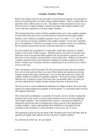 Complex Numbers Primer potx