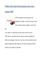 Phân tích loại hình quảng cáo trực tuyến doc