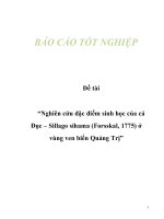 Đề tài “Nghiên cứu đặc điểm sinh học của cá Đục – Sillago sihama (Forsskal, 1775) ở vùng ven biển Quảng Trị” ppsx