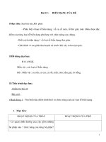 Giáo án Sinh học 6 - BIẾN DẠNG CỦA RỄ doc