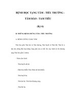 BỆNH HỌC TẠNG TÂM - TIỂU TRƯỜNG TÂM BÀO - TAM TIÊU (Kỳ 6) pdf