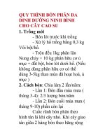 QUY TRÌNH BÓN PHÂN ĐA DINH DƯỠNG NINH BÌNH CHO CÂY CAO SU 1. Trồng mới - Bón lót doc
