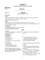 giáo án lớp 2, tuần 33 2buổi