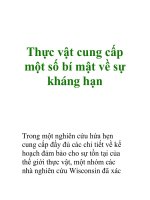 Thực vật cung cấp một số bí mật về sự kháng hạn pot