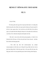BỆNH LÝ VIÊM ĐA DÂY THẦN KINH (Kỳ 1) potx