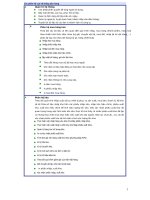 Các phân hệ của hệ thống bán hàng ppsx