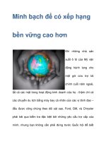 Minh bạch để có xếp hạng bền vững docx