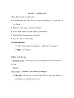 Giáo án Sinh học 6 - QUYẾT - DƯƠNG XỈ pot