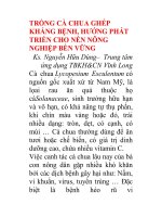 TRỒNG CÀ CHUA GHÉP KHÁNG BỆNH ppsx