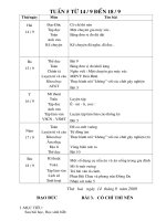 giáo án 5 tuần 5