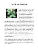 Chữa dị ứng theo Đông y pptx