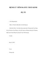 BỆNH LÝ VIÊM ĐA DÂY THẦN KINH (Kỳ 15) docx