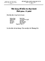 Đề thi Tin lớp 3 kì 2 (08-09)