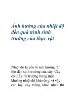 Ảnh hưởng của nhiệt độ đến quá trình sinh trưởng của thực vật ppsx