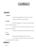 Giáo án Sinh học 10 nâng cao - NGUYÊN PHÂN pot