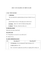 Sinh học 6 - CÁC LOẠI RỄ, CÁC MIỀN CỦA RỄ pps