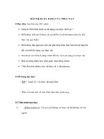 Giáo án Sinh học 6 - BẢO VỆ SỰ ĐA DẠNG CỦA THỰC VẬT pot